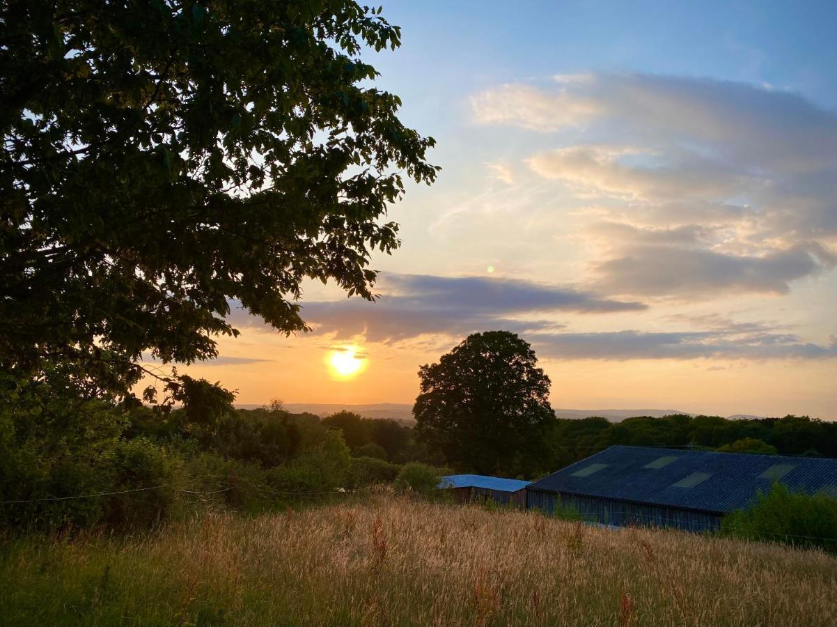 Cherry Tree Glamping Lodge Wellington  Exteriör bild
